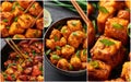 Food collage. Indian chinese cuisine dishes set. Deep fried Dishes Photo Collage Royalty Free Stock Photo