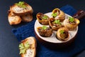 Food concept Escargots Baked French snails with Garlic butter on black slate stone background with copy space Royalty Free Stock Photo