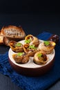 Food concept Escargots Baked French snails with Garlic butter on black slate stone background with copy space Royalty Free Stock Photo