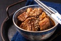 Food concept spot focus Homemade Korean Beef Stew in oriental style porcelain cup on black background with copy space Royalty Free Stock Photo