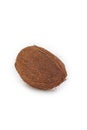 Food Concepts. One Separate Coconut Placed Isolated Over Pure White Background Royalty Free Stock Photo