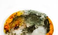 Food contaminated with mold. Mold on the yogurt