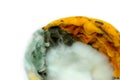 Food contaminated with mold. Mold on the yogurt