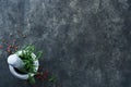 Food cooking background. Green rosemary branches, olive oil, garlic, peppercorns and hot peppers at dark slate concrete table.