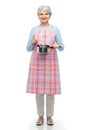 senior woman in apron with pot cooking food Royalty Free Stock Photo