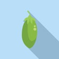 Food cooking lentil icon flat vector. Meal botany
