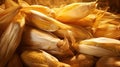 food corn husks