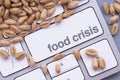 Food crisis or cereal shortage concept with computer keyboard and wheat seeds