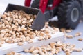 Food crisis or cereal shortage concept with computer keyboard and wheat seeds Royalty Free Stock Photo