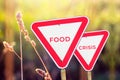 Food crisis concept. Two red road signs. Defocus blank empty triangle red warning road sign on nature background. Hunger Royalty Free Stock Photo