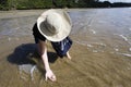 Food and Cuisine - Seafood Royalty Free Stock Photo