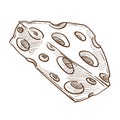 Food or dairy product, Cheese with holes isolated sketch snack