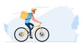 Food delivery by bike. The guy on a bicycle rides in the park. Bicycle delivery concept. Vector stock illustration. Royalty Free Stock Photo