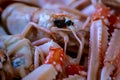 Food detail. shellfish ready to be eaten raw. scampi. one of the most delicious summer foods Royalty Free Stock Photo