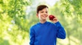 Smiling boy with red apple in summer Royalty Free Stock Photo