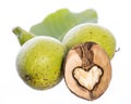 Heart shaped halfed walnut kernel in front of 2 fresh green walnuts on a branch with an leaf isolated on white background Royalty Free Stock Photo