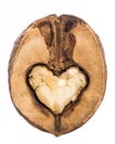 Heart shaped kernel inside a half walnut isolated on white background Royalty Free Stock Photo