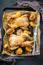 Food and drink, holidays eating dinner concept. Roasted chicken poussin with spices, herbs, garlic and small potatoes on a kitchen