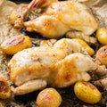 Food and drink, holidays eating dinner concept. Roasted chicken poussin with spices, herbs, garlic and small potatoes on a kitchen