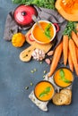Fall autumn roasted orange pumpkin carrot soup with garlic Royalty Free Stock Photo