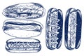 Food engraving hand drawing set of four hotdogs isolated on white background