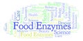 Food Enzymes word cloud.