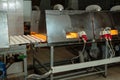 Food factory production line. Zephyr and marshmallows or cream roses manufactory baking machine