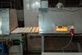 Food factory production line. Zephyr and marshmallows or cream roses manufactory baking machine