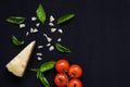 Food frame. Pasta ingredients. Cherry-tomatoes, spaghetti pasta, garlic, basil, parmesan and spices on dark background, copy Royalty Free Stock Photo