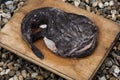 Food : A fresh caught Monkfish or Angler Fish. 1