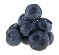 Food with fresh organic blueberries isolated on white background Royalty Free Stock Photo