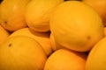 Food fruit fresh yellow melon, background. Fresh melon pattern for sale in market. Agriculture and fruits product. Selective focus Royalty Free Stock Photo