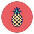 Food, fruit Isolated Vector Icon which can easily modify or edit