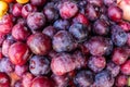 Food fruit plums. Texture background of fresh blue plums Royalty Free Stock Photo