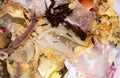 The food Garbage. Royalty Free Stock Photo