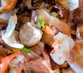 The food Garbage. Royalty Free Stock Photo
