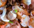 The food Garbage. Royalty Free Stock Photo