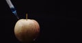 Food Genetic Modification - Syringle Injecting Liqquid in Apple. GMO Modification Concept. Royalty Free Stock Photo