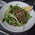 Food good morning lemon a green salad Royalty Free Stock Photo