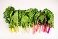 Food gradient of organic rainbow chard: spray-free leafy greens Royalty Free Stock Photo