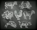 Food Groups Chalk Hand Drawn Animal Icons Royalty Free Stock Photo