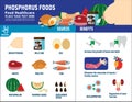 Food health vector infographic elements icon brochure concept