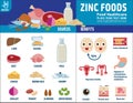 Food health vector infographic elements icon brochure concept