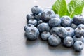 Food healthy blueberry berry organic. delicious blue