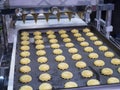 Food high technology manufacturing with automatic machine