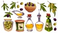 Food icons with olive, oil in bottles and leaves Royalty Free Stock Photo