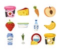 Food icons set, fruits carrot cheese yogurt and garlic ingredient and products