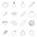 Food Icons Set Vegetables Symbols Line Art Healthy and Healthsome on Stylish Background Flat Design Template Vector Royalty Free Stock Photo