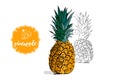 Cartoon whole colorful pineapple and hand drawn sketch pine silhouette isolated on white. retro store label badge with text.