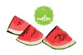 Three cartoon hand drawn melon pieces isolated on white. Watermelon retro store label badge.